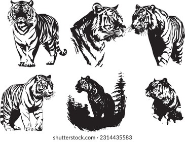 Tiger animal black and white images