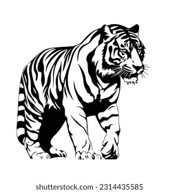 Tiger animal black and white images