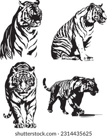 Tiger animal black and white images