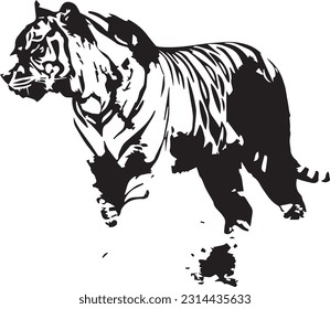 Tiger animal black and white images