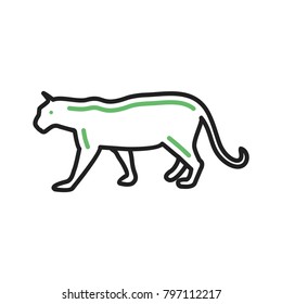 Tiger, animal, cub