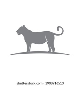 Tiger Animal Emblem Mascot Graphic Template Illustration