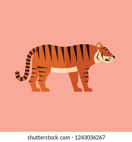 tiger animal jungle vector on pink background wildlife beast