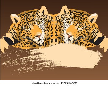 Tiger (animal predator)