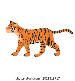 Tigre. Tigre animal, ilustración vectorial