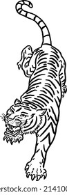 Tiger Animal wildlife. Roar action Hand drawn line art Illustration	