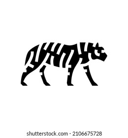tiger animal in zoo glyph icon vector. tiger animal in zoo sign. isolated contour symbol black illustration