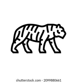 tiger animal in zoo line icon vector. tiger animal in zoo sign. isolated contour symbol black illustration