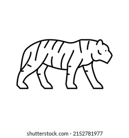 tiger animal in zoo line icon vector. tiger animal in zoo sign. isolated contour symbol black illustration