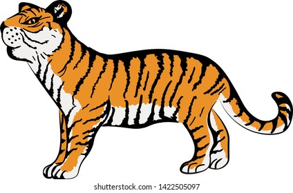 Tiger animals vector illustration. Concept for print, logo, icon.
