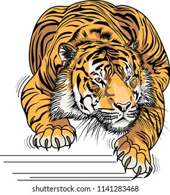 Tiger art vector illustration Design for tattoo art, book, poster, bag and T-shirt