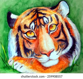 Tiger art (vector illustration of my artwork in watercolor)