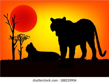 Tiger Asia in sunset. Vector. 