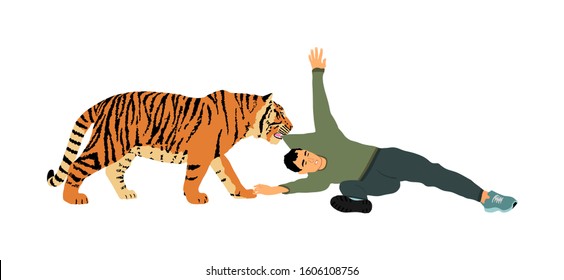 Tiger attacks man vector illustration isolated on white background. Wild animal attack person. Beast with prey in the jaws. Boy begs for help. Risk situation in zoo park. Battle for life, scary scene.