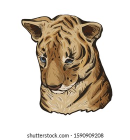 Tiger baby tabby vector portrait in closeup isoated sketch. Hand drawn panthera tigris, large wild cat. Felidae mammal with furry coat. Predator wildlife, carnivore beast, hand drawn illustration