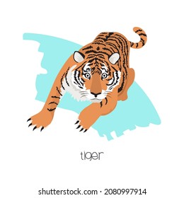 Tiger in the background with a brushstroke. Vector image of a flat animal. Isolated on white background