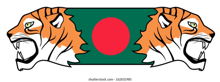 Tiger bangladesh