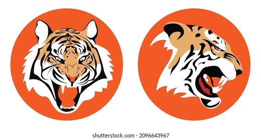 A tiger with bare teeth in full face and profile. Vector illustration