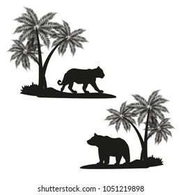 Tiger and bear shadows