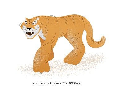 Tiger. Beautiful stylish trendy. A predator and a large animal. Symbol of the year 2022. New Year. Water tiger. Large paws limbs. Disproportion. Isolated on a white background. Panthera tigris altaica