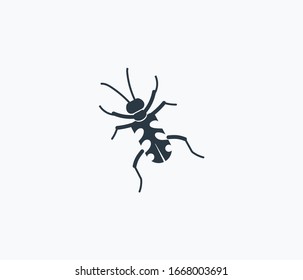 Tiger beetle icon isolated on clean background. Tiger beetle icon concept drawing icon in modern style. Vector illustration for your web mobile logo app UI design.
