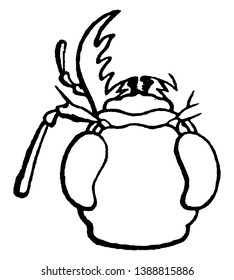 Tiger Beetle a large group of beetles  from the Cicindelinae subfamily, vintage line drawing or engraving illustration.