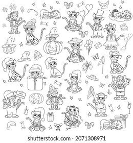 Tigre. Gran conjunto de colores. Ilustración en blanco y negro para un libro de colorear. El símbolo del año nuevo según el calendario chino. Estilo de dibujos animados vectores.