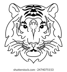 Tiger with black stripes on a white background. Tiger's face