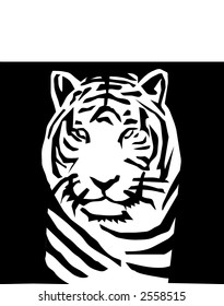 tiger (black and white)