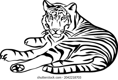 Tiger. Black and white simple sketch. Vector illustration