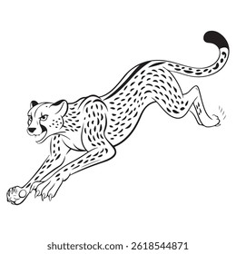 Tigre en blanco y negro vector 