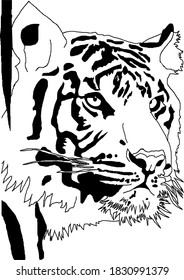 Ilustración vectorial en blanco y negro del tigre