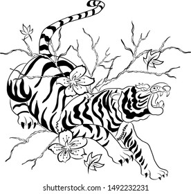 Tiger and branch of sakura vector for printing on isolate white background.Traditional Japanese tiger for tattoo style.