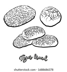 Tiger bread food sketch separated on white. Vector drawing of Rice bread, usually known in Netherlands. Food illustration series.