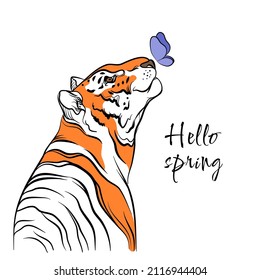 Tiger with a butterfly on a white background, the inscription hello spring. Humor card, t-shirt composition, hand drawn style print. vector illustration.