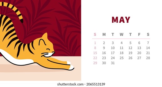Tiger calendar design concept 2022. Horizontal page template for may. Ginger tabby cat stretching. Chinese symbol of the year.