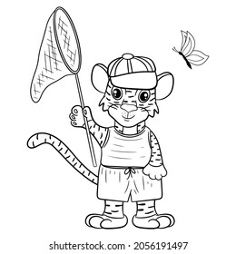 Tiger in cap with butterfly net. The symbol of the new year according to the Chinese or Eastern calendar. Outline for coloring. Vector editable illustration, cartoon style