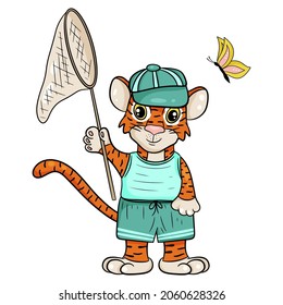 Tiger in cap with butterfly net. The symbol of the new year according to the Chinese or Eastern calendar. Vector editable illustration, cartoon style