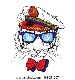 Tiger in the captain's cap. Vector illustration.