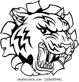 A tiger cartoon animal mascot tearing or ripping through the background