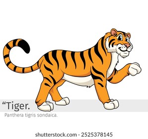 Tiger Cartoon illustration. wildlife animal isolated. Animal cartoon collection. Tiger Cartoon character