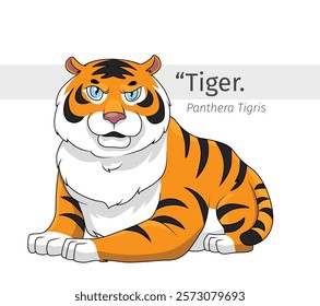 Tiger cartoon sit down illustration. wildlife animal isolated. predatory animal cartoon collection. Tiger Cartoon character