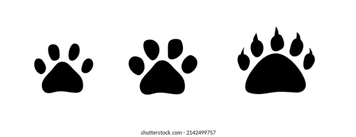 Tiger, cat and bearish footprints. Animal paw prints. Vector template. Illustration isolated on white background.	