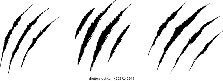 Tiger Cat Claw Scratch Slash Silueta