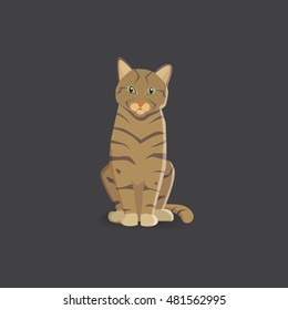 tiger cat vector illustration