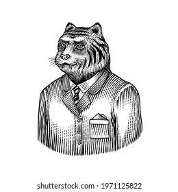 Tiger character. Beast doctor. Fashionable animal, vitorian gentleman in a jacket. Hand drawn Engraved old monochrome sketch. Vector illustration for t-shirt, tattoo or badge or print.