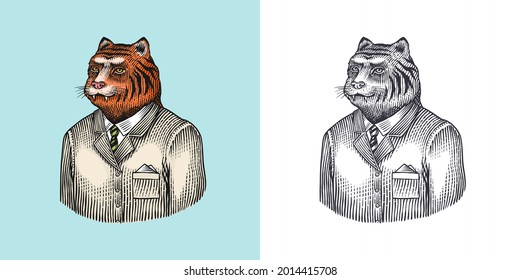 Tiger character. Beast doctor. Fashionable animal, vitorian gentleman in a jacket. Hand drawn Engraved old monochrome sketch. Vector illustration for t-shirt, tattoo or badge or print.