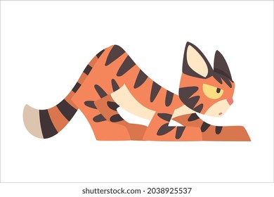 Tiger Character with Orange Fur and Black Stripes Preying Vector Illustration