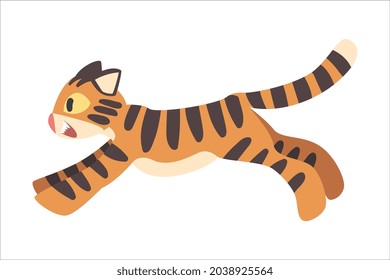 Tiger Character with Orange Fur and Black Stripes Running Vector Illustration