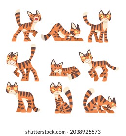 Tiger Character with Orange Fur and Black Stripes Sleeping and Standing Vector Set